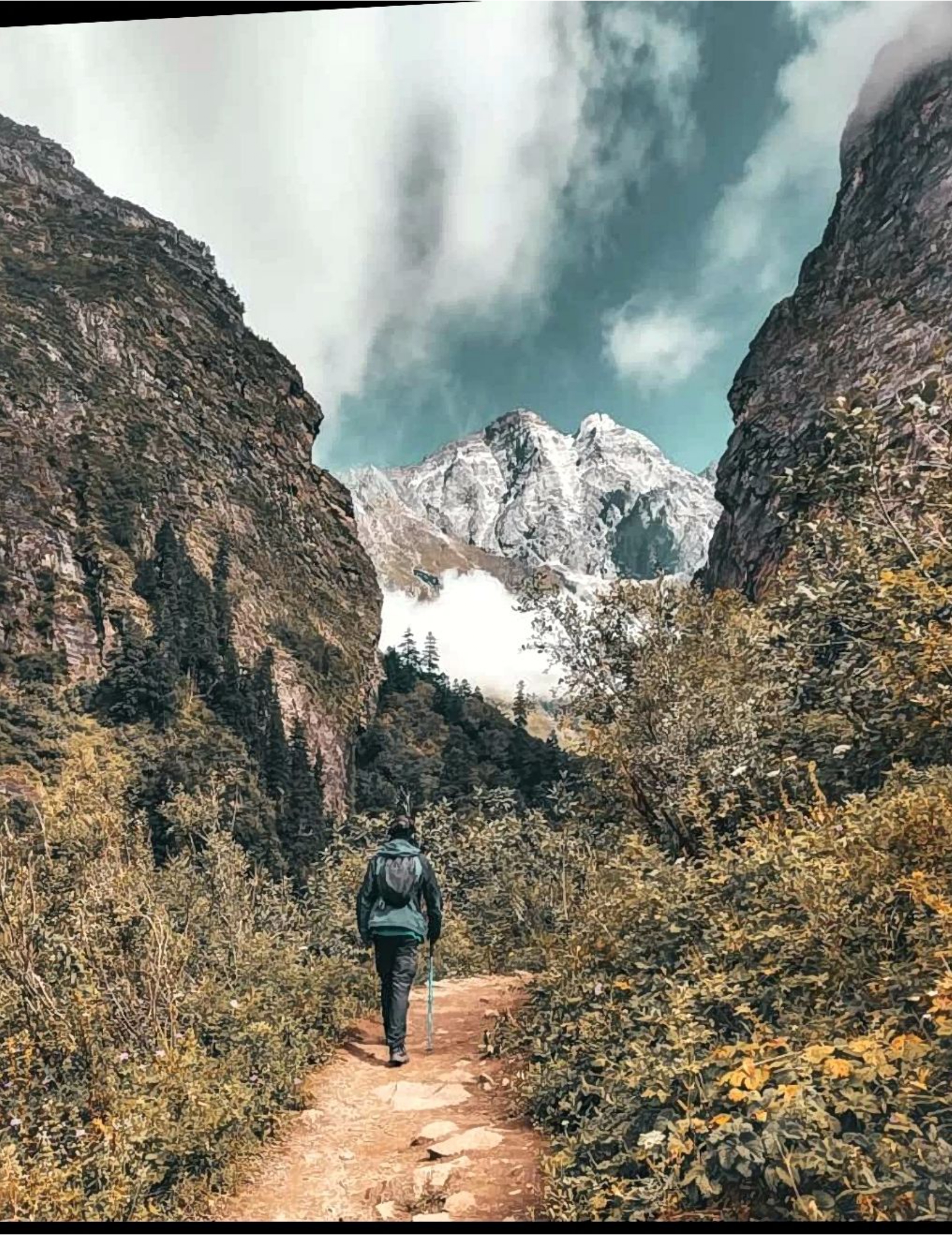 Valley of flowers Trek