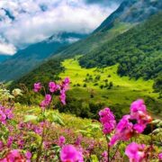 Valley of Flower Trek