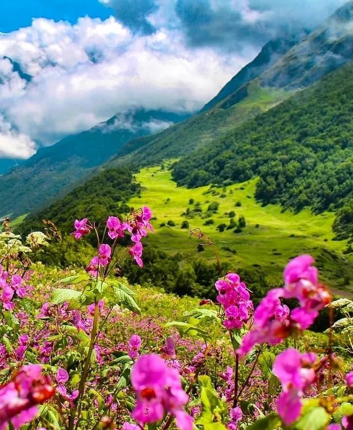 Valley of Flower Trek