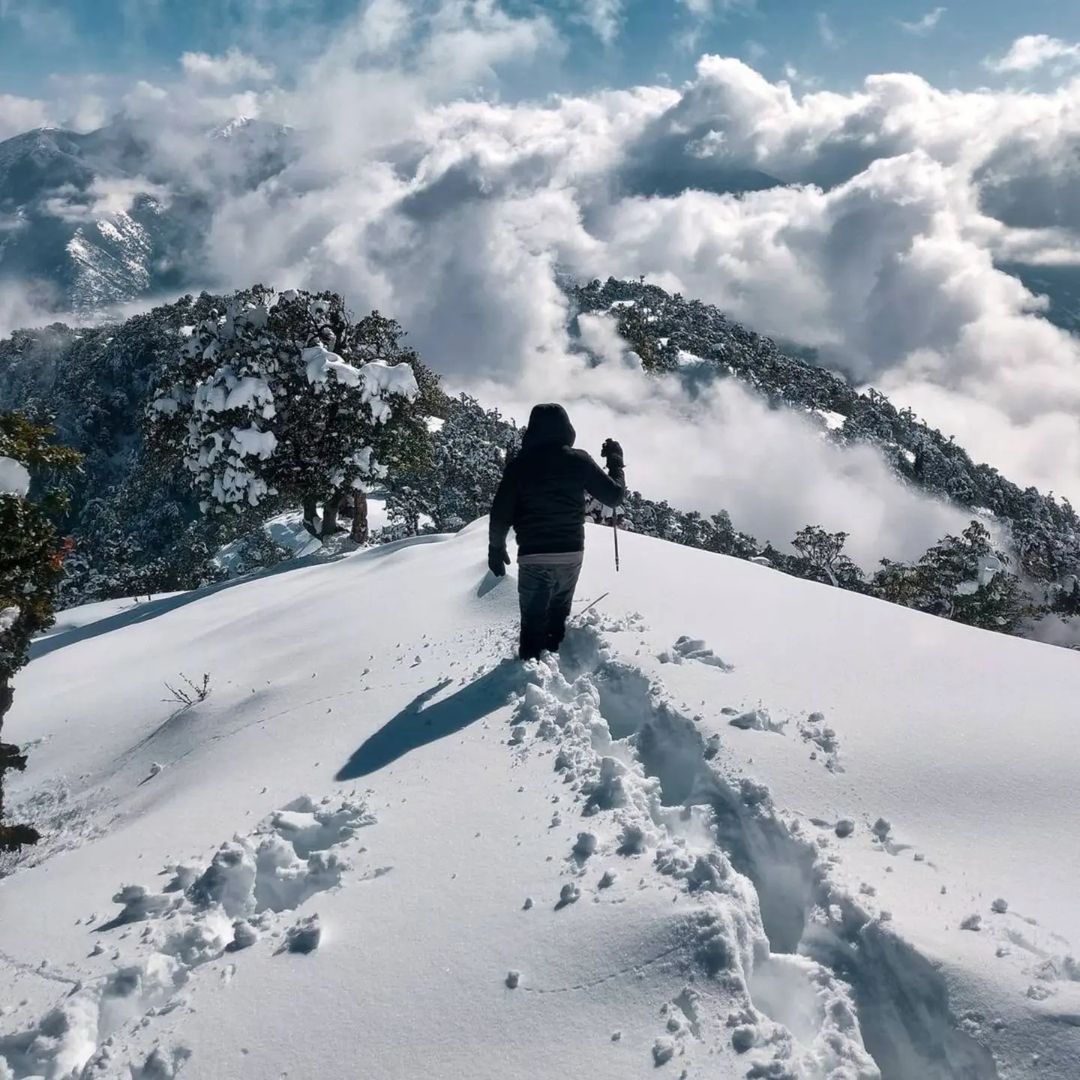 Bali Pass Trek