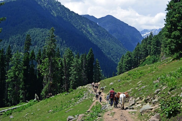 Kolahoi Glacier Trek