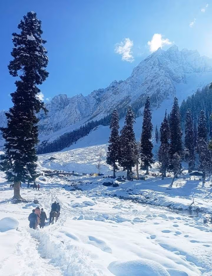 Thajiwas Glacier Trek