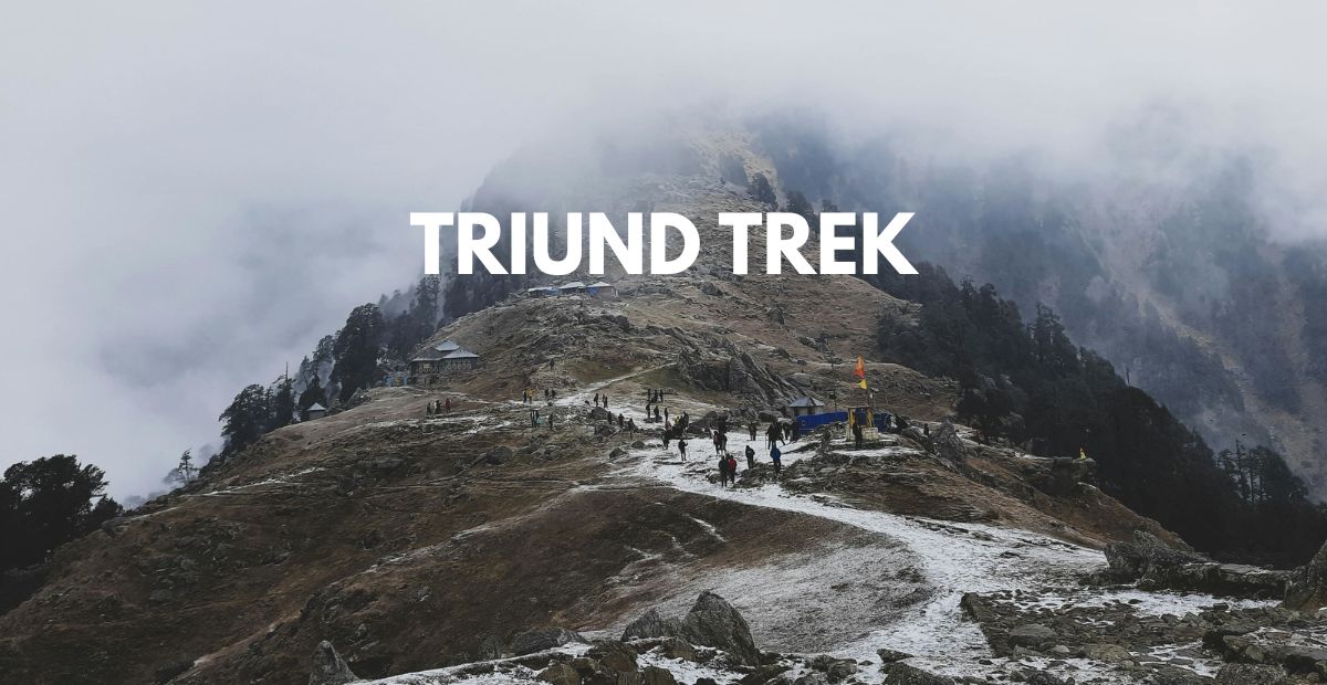 Triund Trek