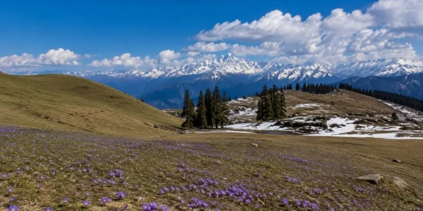 Ali Bedni Bugyal Trek 2