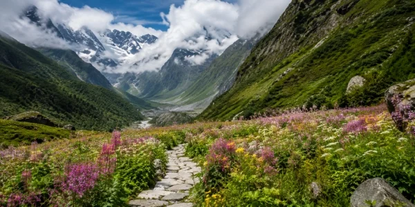 Valley of Flowers Trek 1