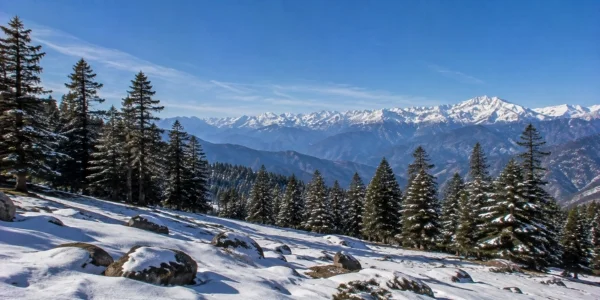 Binsar Weekend Trek