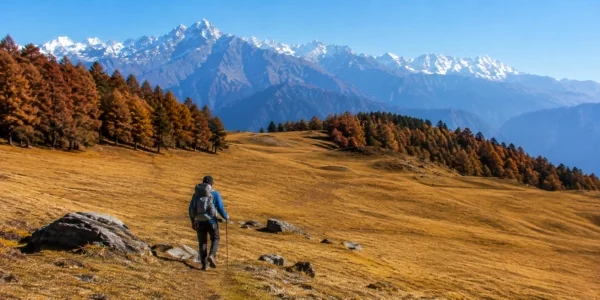 Dayara Bugyal Trek