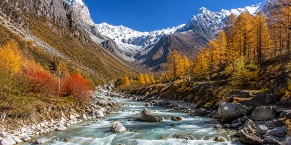 Gaumukh Gangotri Trek